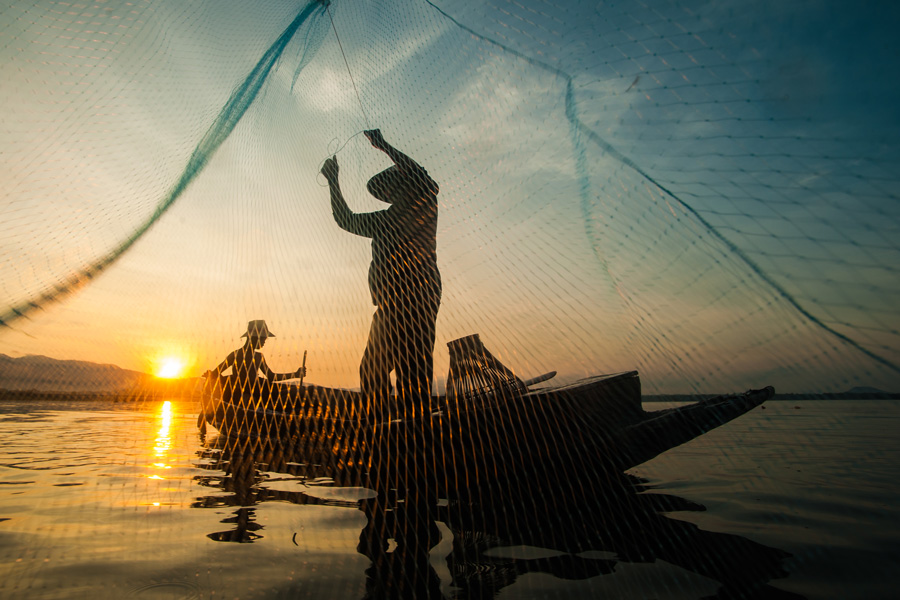net fishing