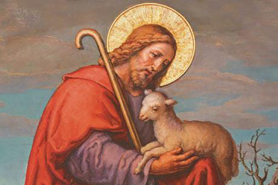 goodshepard